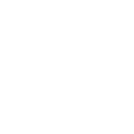 The Tiny French Flea